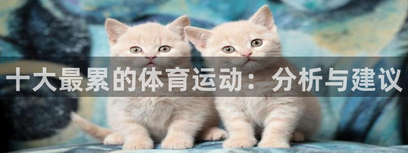 yy易游官方正版app集团官网首页网址:十大最累的体育运动: