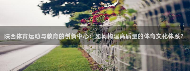 yy易游官方正版app娱乐平台:陕西体育运动与教育的创新中心