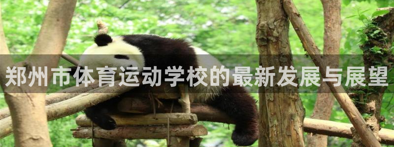 yy易游官网下载平台:郑州市体育运动学校的最新发展与展望