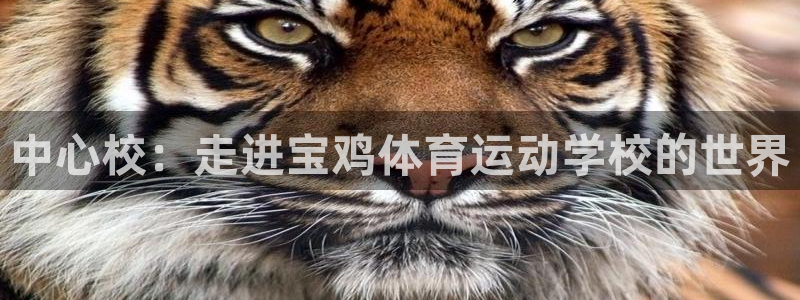 yy易游官方正版app娱乐首页官网下载:中心校:走进宝鸡体育